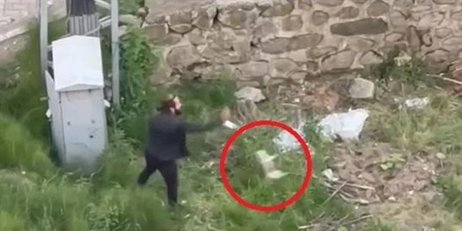 Yavru kediyi tekmeleyerek öldürdüğü öne sürülen kişi tutuklandı