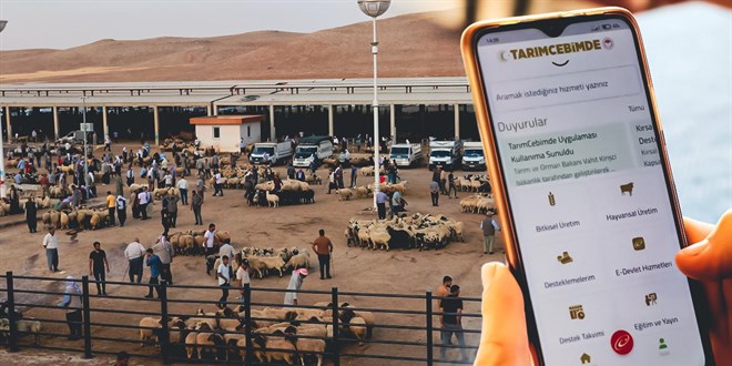 'Tarım Cebimde' ile 3 adımda kurbanlık sorgulama