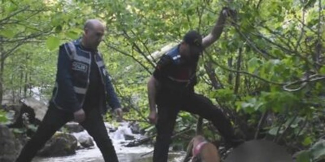Giresun'daki cinayetle ilgili 2 kişi tutuklandı