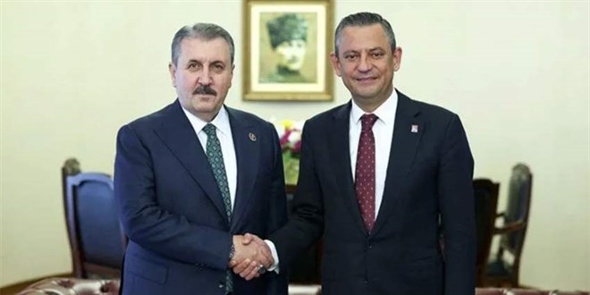 Destici: Başıboş köpeklerin uyutulmasını destekliyoruz