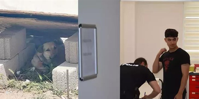 Lise öğrencisi, okul dönüşü köpek saldırısında yaralandı