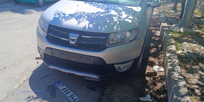 Sahipsiz köpekler park halindeki araca zarar verdi