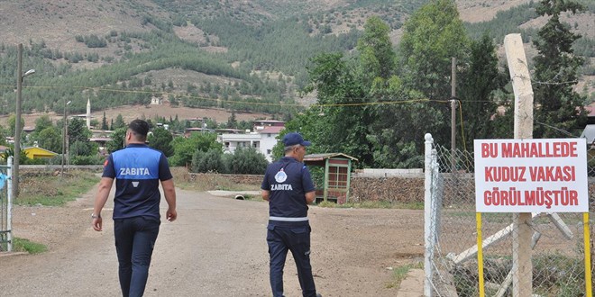 Gaziantep'te kuduz vakası: İki mahalle karantinada