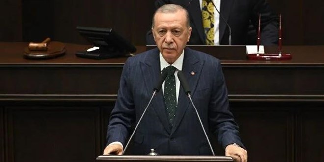 Erdoğan: Başıboş köpekler için sonraki adıma ihtiyaç kalmasın