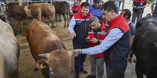 Kurban pazarlarında bayram hareketliliği başladı