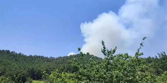 Bursa'da çıkan orman yangını kontrol altına alındı