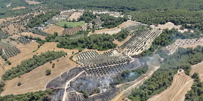Adana'nın iki ilçesinde çıkan orman yangınları kontrol altına alındı