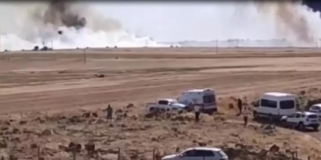 Mardin'de 3 farkl noktada yangn kt: 50 dnm ekili alan kl oldu