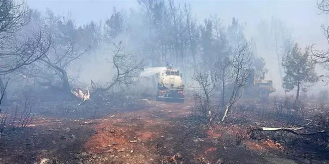 Antalya'nın Manavgat ilçesinde çıkan yangın kontrol altına alındı