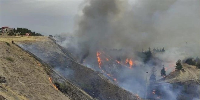 Denizli'deki orman yangınıyla ilgili 3 kişi gözaltına alındı
