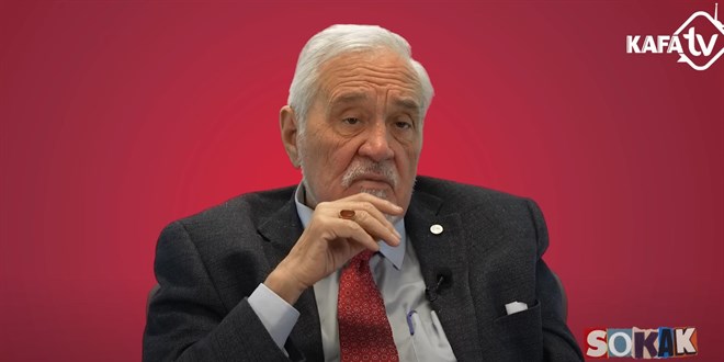 İlber Ortaylı'dan sokak hayvanları açıklaması