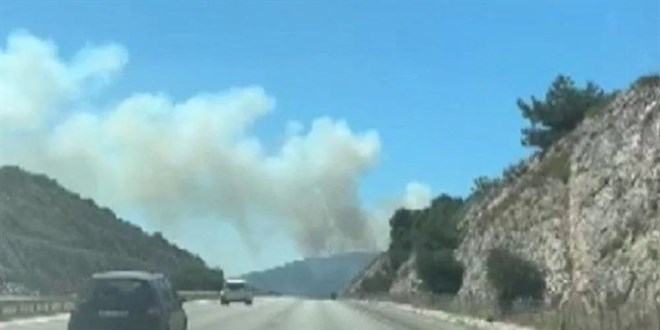 İzmir'de orman yangını: Havadan ve karadan müdahale başladı