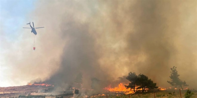 Bakan Yumaklı: Çanakkale'deki orman yangını kontrol altına alındı