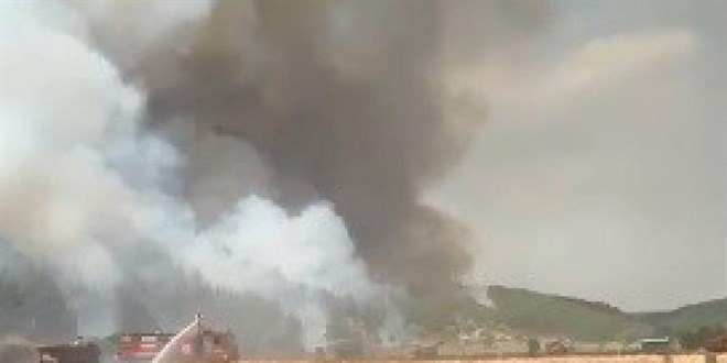 Çanakkale'de ormanlık alanda çıkan yangın kontrol altına alındı