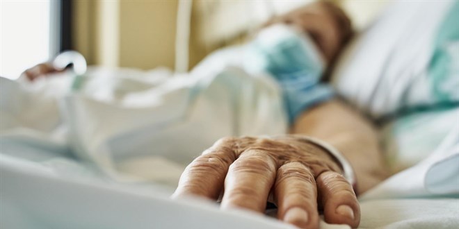 lm ve lm nedenleri istatistikleri akland