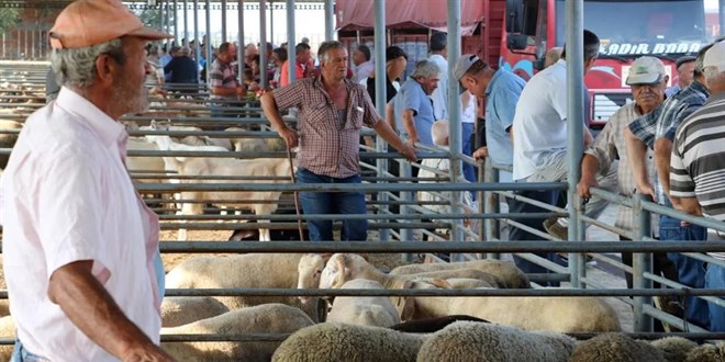 Kurban fiyatı 4 yılda 12'ye katlandı