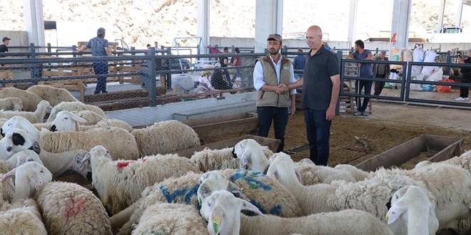 Kurban pazarlarında arife günü hareketliliği