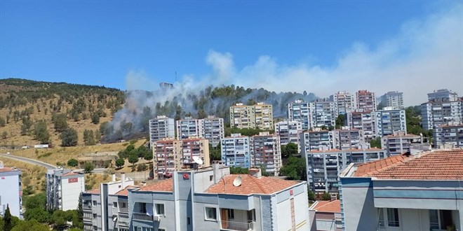 İzmir'in üç ilçesinde orman yangını çıktı