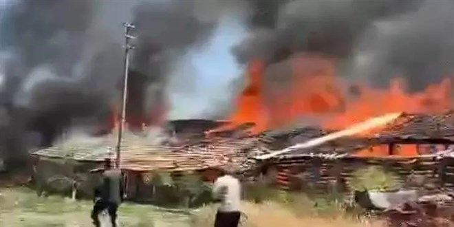 Ankara'da ahır yangını: 12 büyükbaş hayvan telef oldu