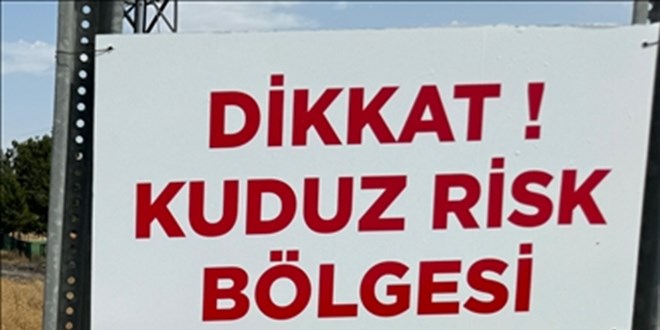 Şanlıurfa'da 1 mahalle kuduz nedeniyle karantinaya alındı