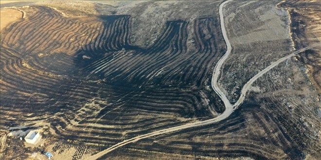 Dicle Elektrik'ten Diyarbakır ve Mardin'deki yangınlara ilişkin açıklama