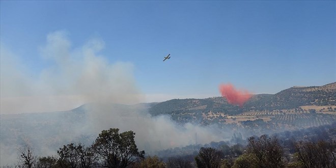 Çanakkale'deki yangın nedeniyle Assos Atik kenti ziyarete kapatıldı