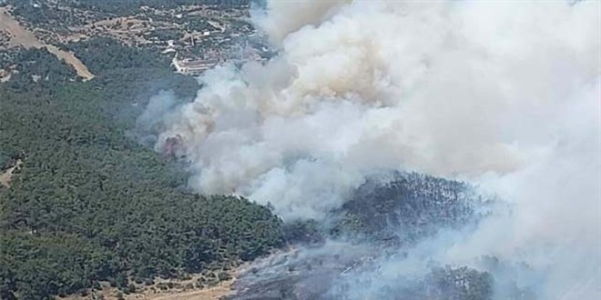 İzmir'de çıkan yangına TSK'ya ait helikopterler destek veriyor