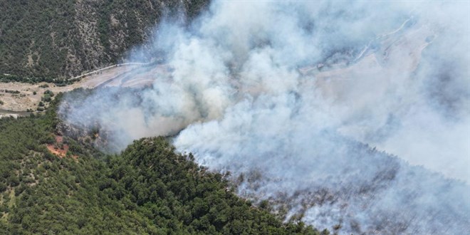 Karabük'te ormana yıldırım düştü, yangın çıktı