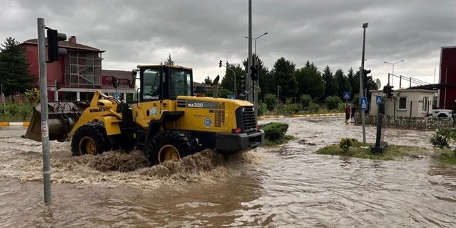 Samsun'u saanak vurdu: Irmaklar tat, hayvanlar suya kapld
