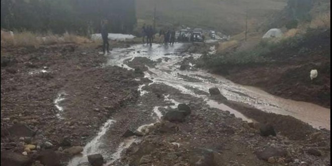 Mu'ta sele kaplan gen kz hayatn kaybetti