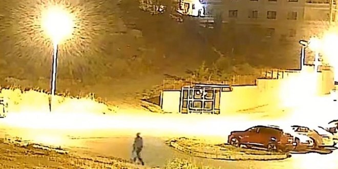 Bu da oldu: Ağacı sökerek çaldılar