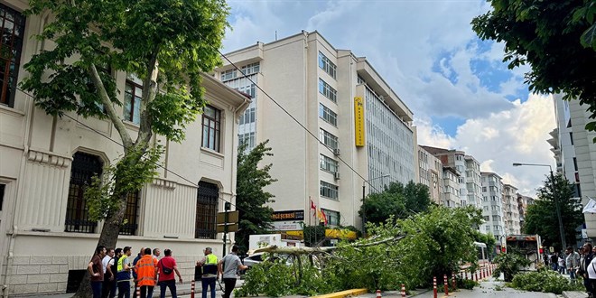 Eskişehir'de caddeye devrilen ağaç yolu kapattı