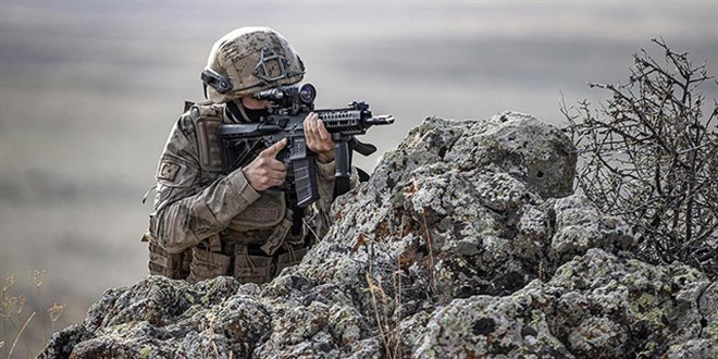 'Bozdoğan-50' operasyonunda 2 terörist etkisiz hale getirildi
