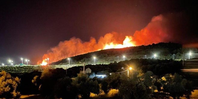 İzmir'de orman yangını