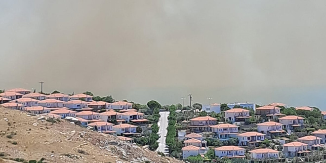 3 kişinin yaşamını yitirdiği orman yangında 4 gözaltı