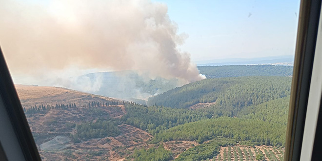 zmir'in Menderes ilesinde orman yangn kt