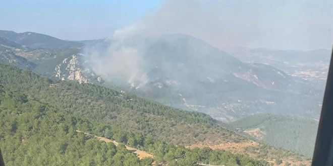 Bergama'daki orman yangını 2'nci gününde kontrol altında
