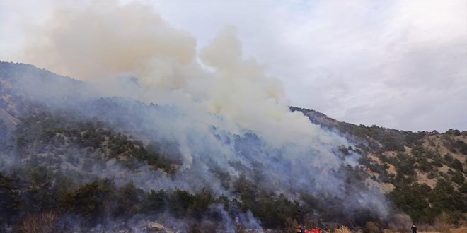 Çorum'da orman yangını: Havadan ve karadan müdahale ediliyor