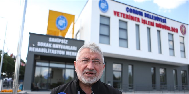 O ilde ortak karar: Sahipsiz hayvanlar doal yaam alanlarna tanacak