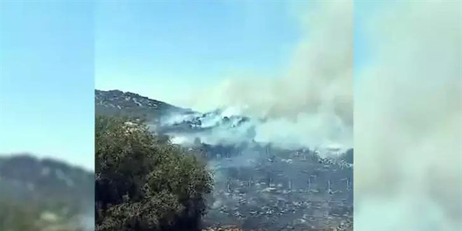 Kahramanmara'ta orman yangn