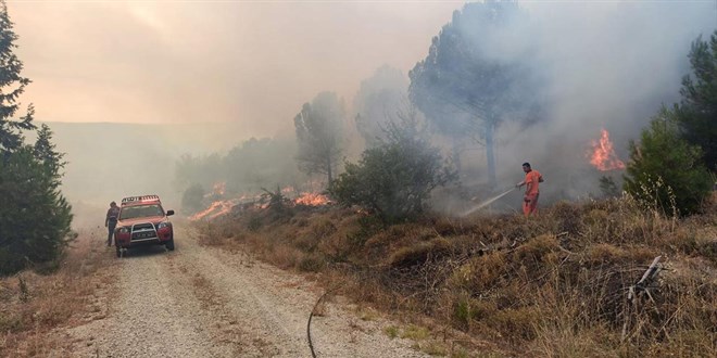 Çanakkale'de ormanlık alanda yangın