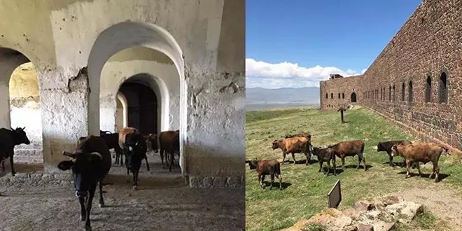 Mecidiye Tabyası, 'ahıra döndü'