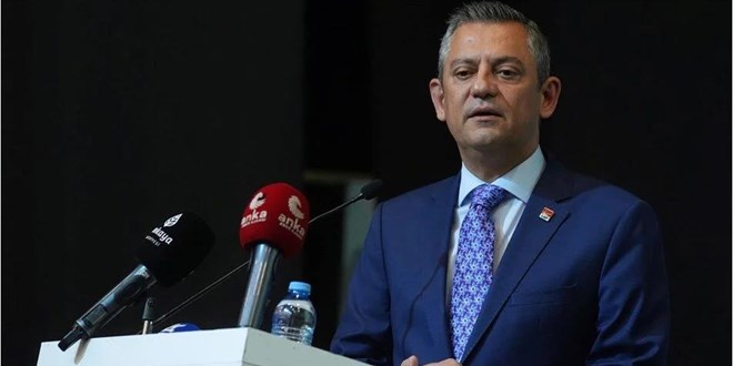 Özel: Sahipsiz hayvanlarla ilgili kanunu AYM'ye götüreceğiz