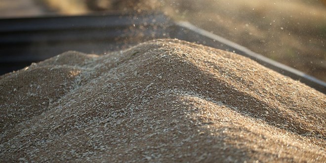 Hububat ihracat� y�l�n ilk 7 ay�nda 6,8 milyar dolar oldu