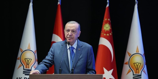 Erdoğan Instagram eleştirilerine 'ev zencisi' dedi: Ne anlama geliyor?