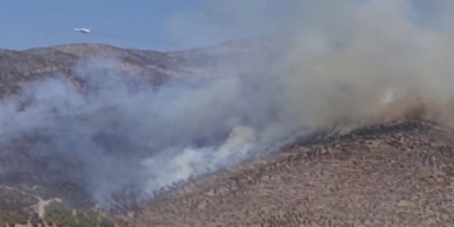 Manisa'da orman yang�n�