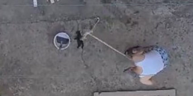 Yavru kedileri s�p�rge sap�yla �ld�ren �ah�s tutukland�