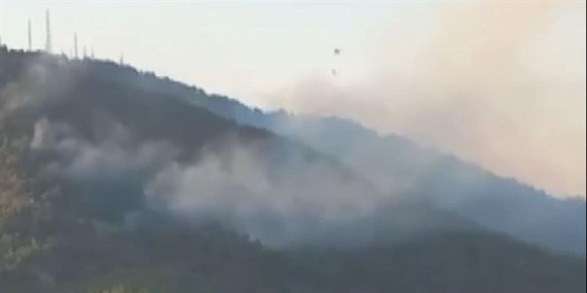 �zmir'deki orman yang�n�na m�dahale s�r�yor