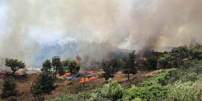 Bozcaada'da tarım arazisinde başlayıp ormana sıçrayan yangın kontrol altında