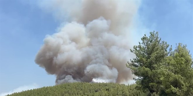 Muğla'nın iki ilçesinde yangın: Bir köy boşaltılıyor